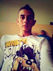milan.spremic.50